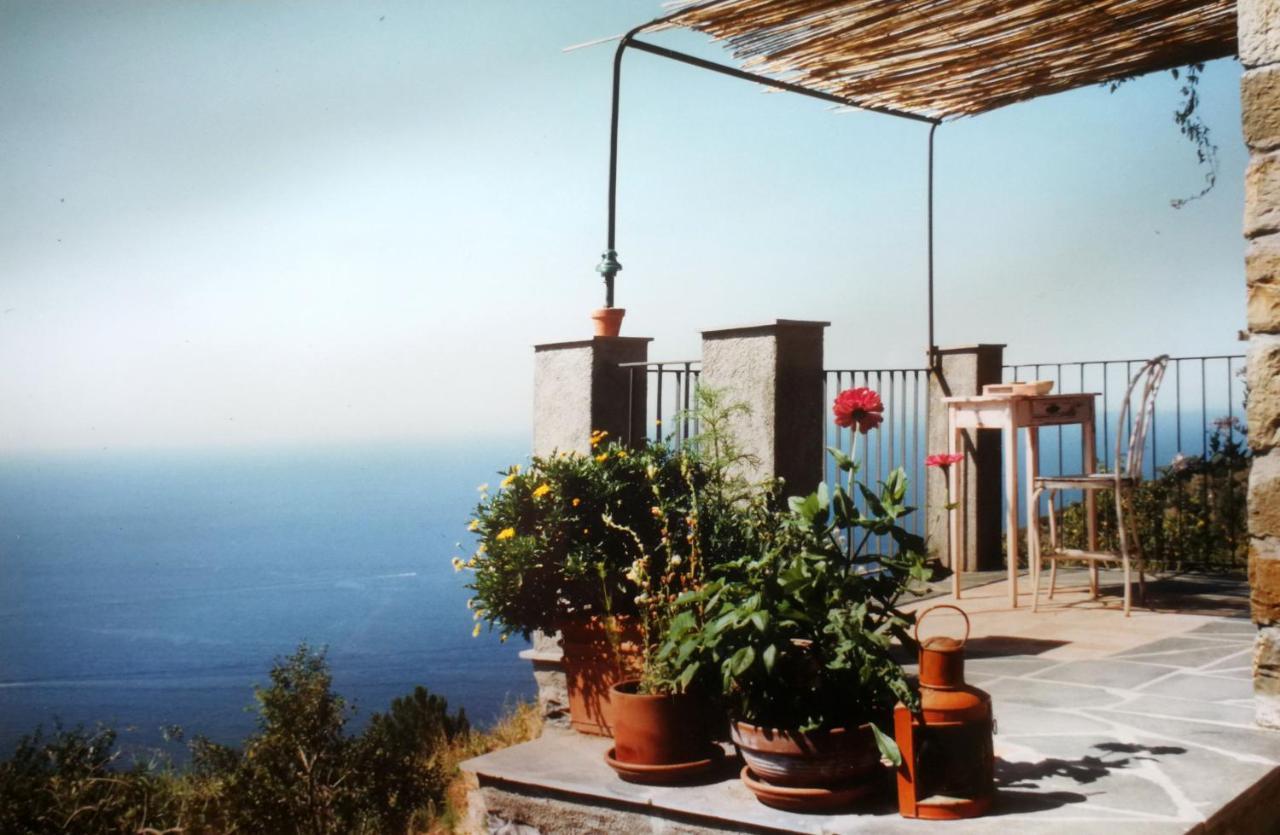 Cottage La Casa Del Pittore Reggimonti 外观 照片