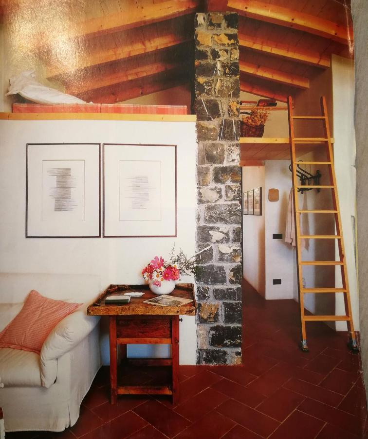 Cottage La Casa Del Pittore Reggimonti 外观 照片