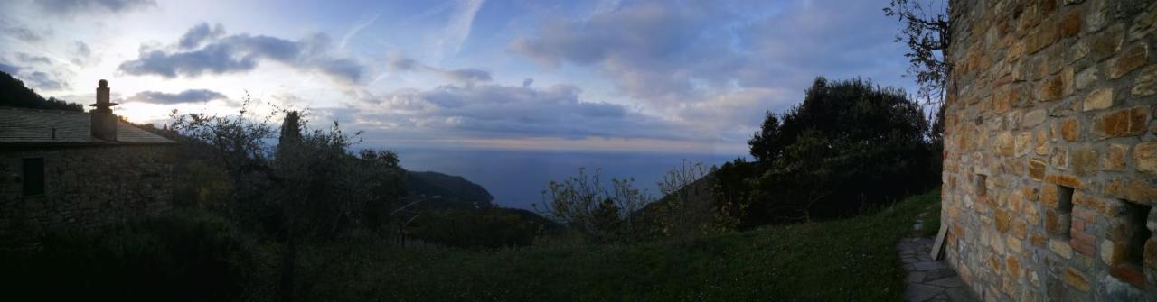 Cottage La Casa Del Pittore Reggimonti 外观 照片