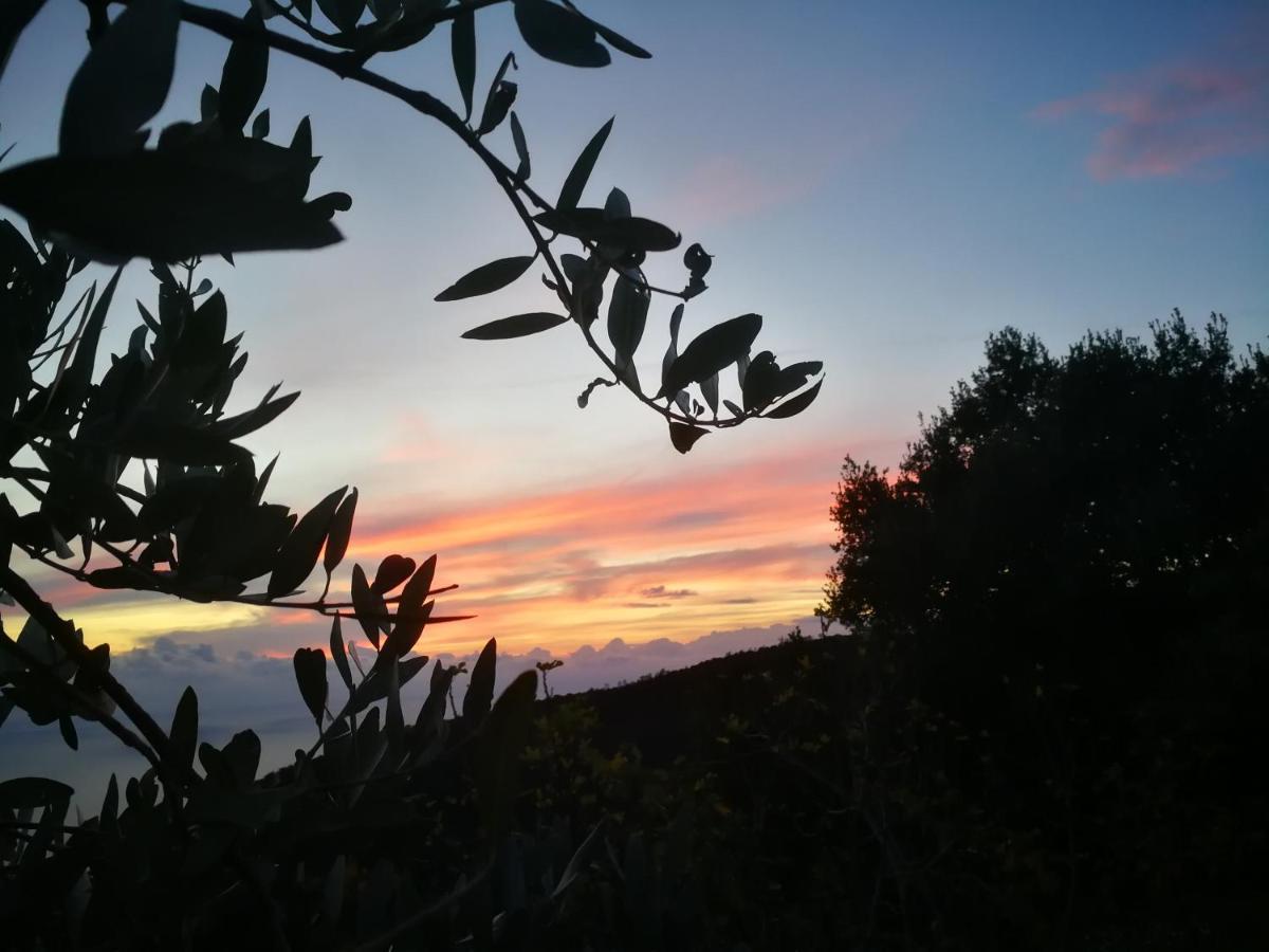 Cottage La Casa Del Pittore Reggimonti 外观 照片