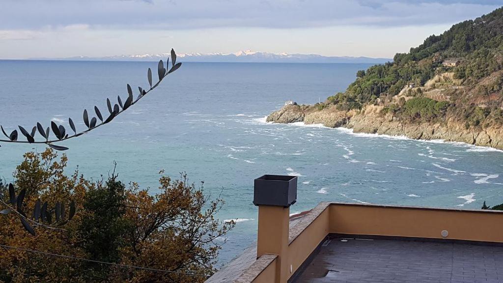 Cottage La Casa Del Pittore Reggimonti 外观 照片