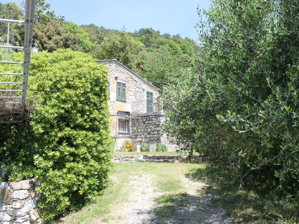 Cottage La Casa Del Pittore Reggimonti 外观 照片