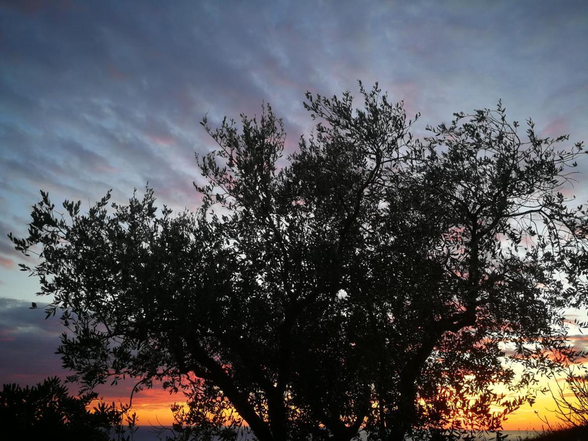 Cottage La Casa Del Pittore Reggimonti 外观 照片