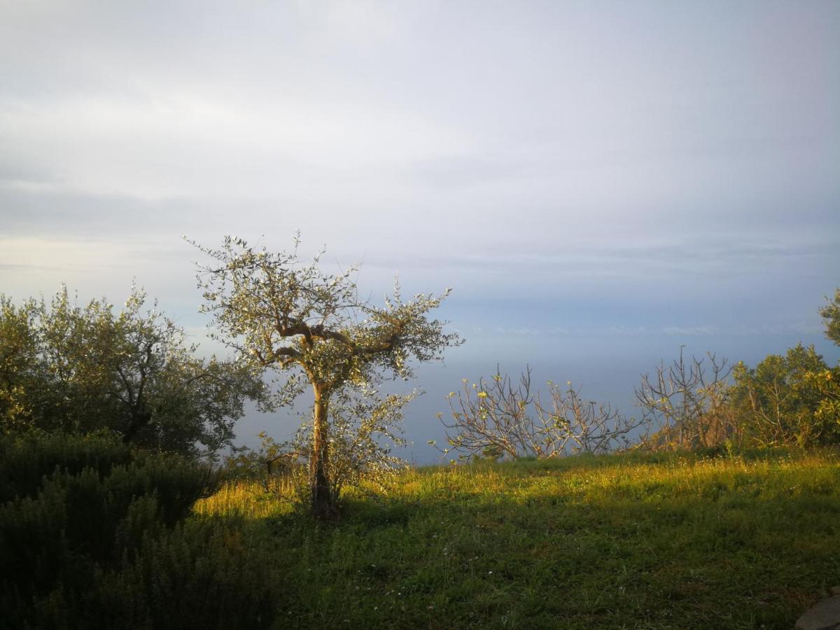 Cottage La Casa Del Pittore Reggimonti 外观 照片