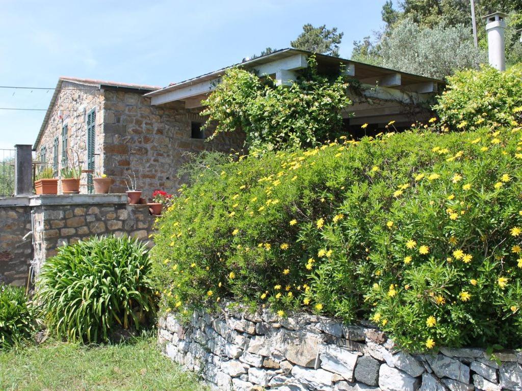 Cottage La Casa Del Pittore Reggimonti 外观 照片
